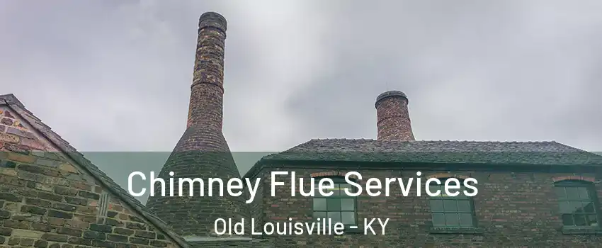 Chimney Flue Services Old Louisville - KY