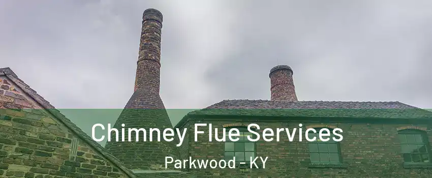 Chimney Flue Services Parkwood - KY