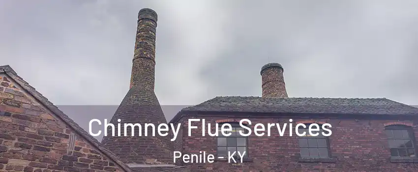 Chimney Flue Services Penile - KY