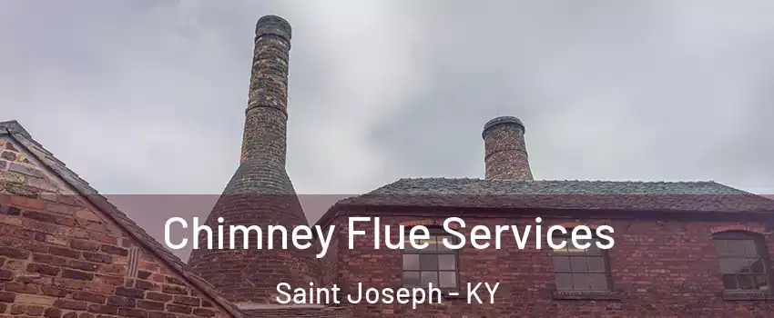 Chimney Flue Services Saint Joseph - KY