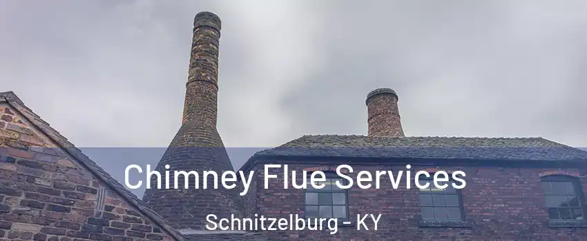 Chimney Flue Services Schnitzelburg - KY