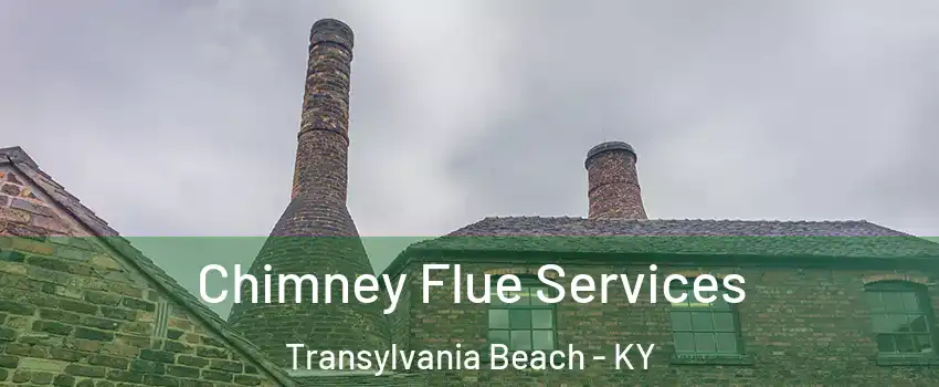 Chimney Flue Services Transylvania Beach - KY