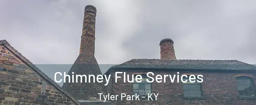 Chimney Flue Services Tyler Park - KY