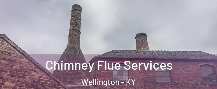 Chimney Flue Services Wellington - KY