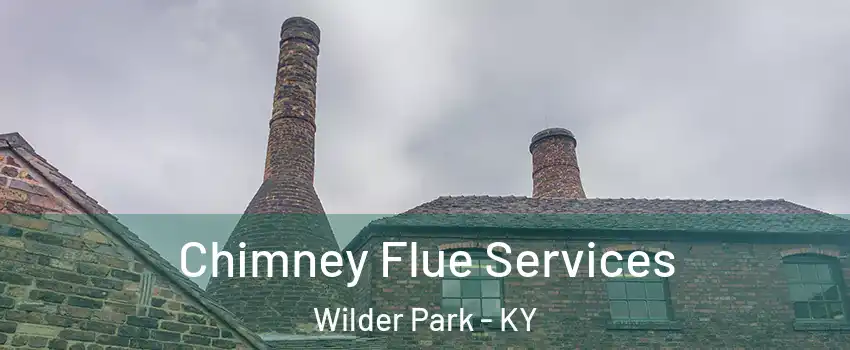 Chimney Flue Services Wilder Park - KY