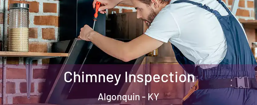 Chimney Inspection Algonquin - KY