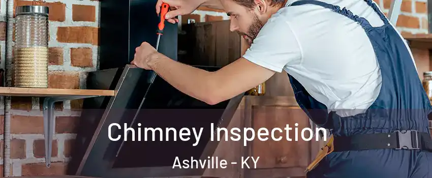 Chimney Inspection Ashville - KY