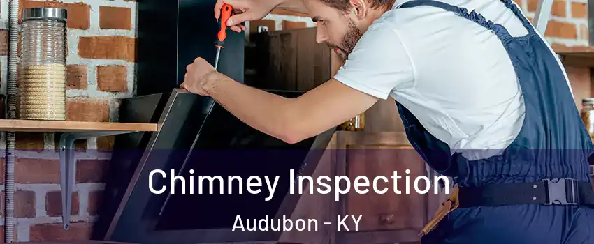 Chimney Inspection Audubon - KY