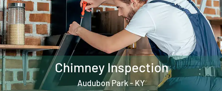 Chimney Inspection Audubon Park - KY