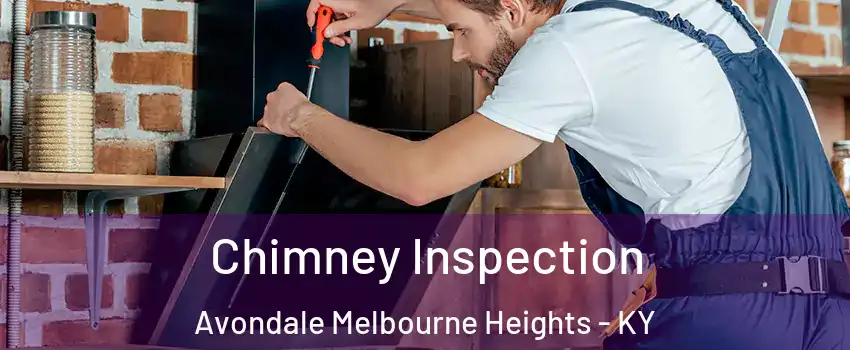 Chimney Inspection Avondale Melbourne Heights - KY