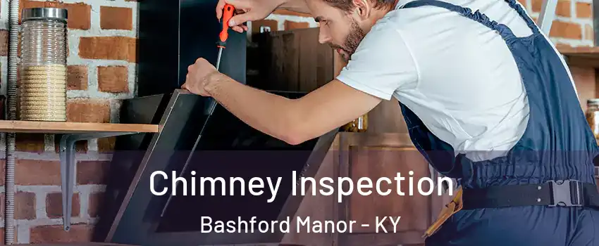 Chimney Inspection Bashford Manor - KY