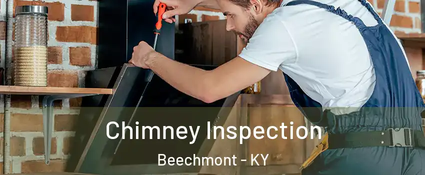 Chimney Inspection Beechmont - KY