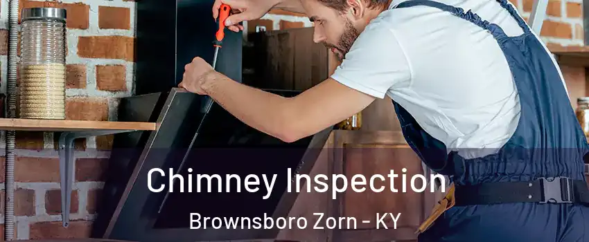 Chimney Inspection Brownsboro Zorn - KY