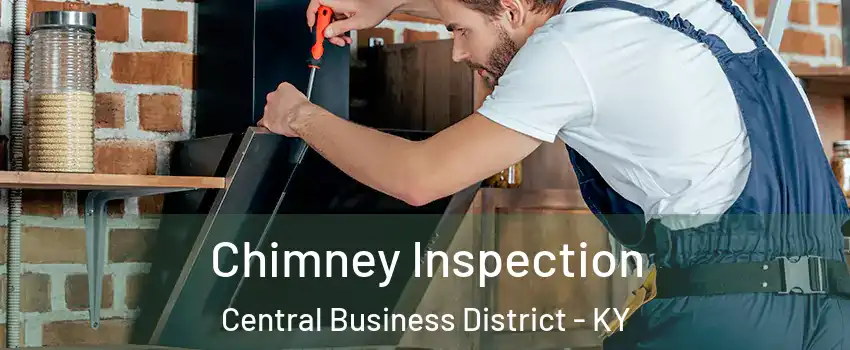 Chimney Inspection Central Business District - KY