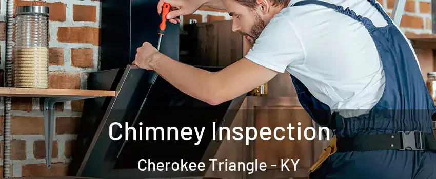 Chimney Inspection Cherokee Triangle - KY