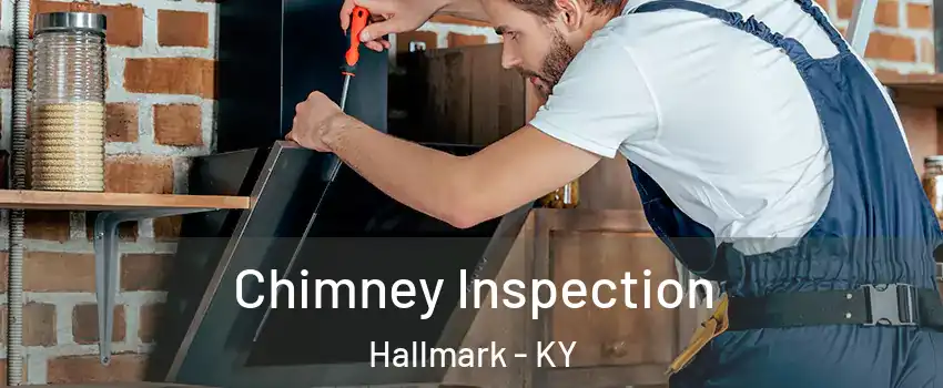 Chimney Inspection Hallmark - KY