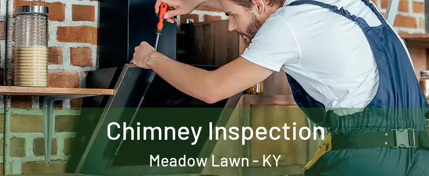 Chimney Inspection Meadow Lawn - KY