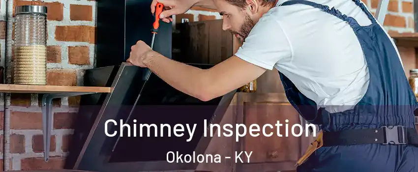 Chimney Inspection Okolona - KY