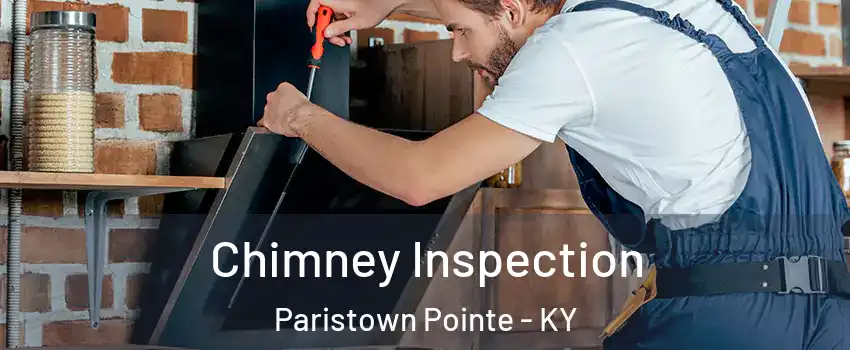 Chimney Inspection Paristown Pointe - KY