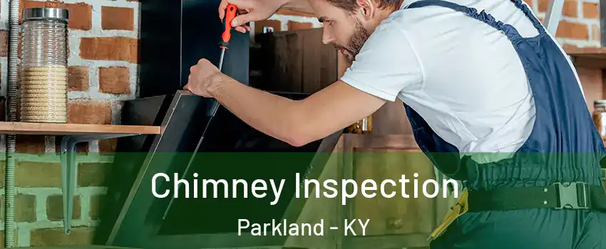 Chimney Inspection Parkland - KY