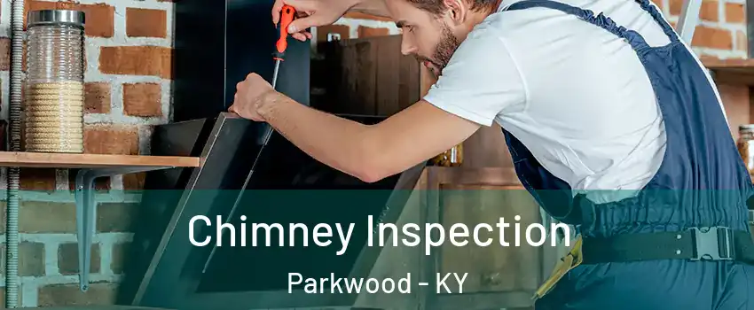 Chimney Inspection Parkwood - KY