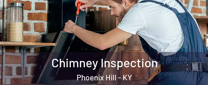 Chimney Inspection Phoenix Hill - KY