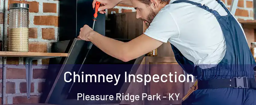 Chimney Inspection Pleasure Ridge Park - KY