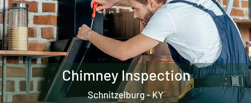 Chimney Inspection Schnitzelburg - KY