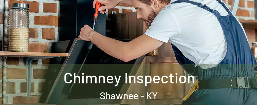 Chimney Inspection Shawnee - KY