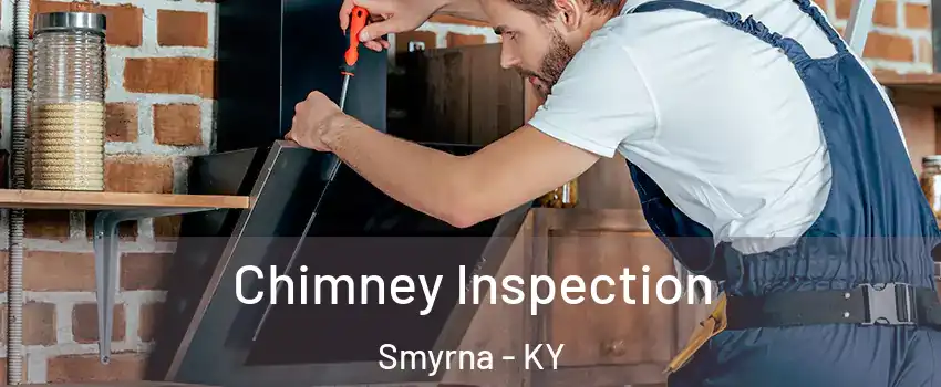 Chimney Inspection Smyrna - KY