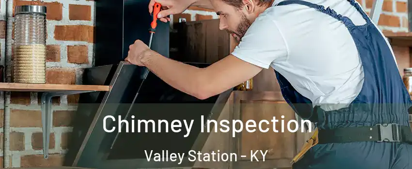 Chimney Inspection Valley Station - KY