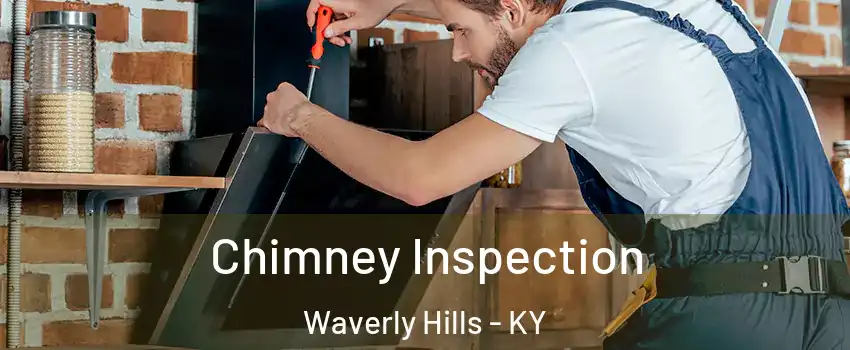 Chimney Inspection Waverly Hills - KY