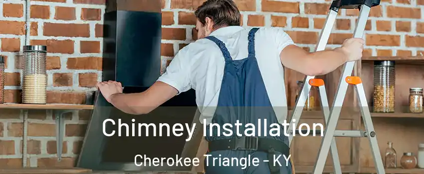 Chimney Installation Cherokee Triangle - KY