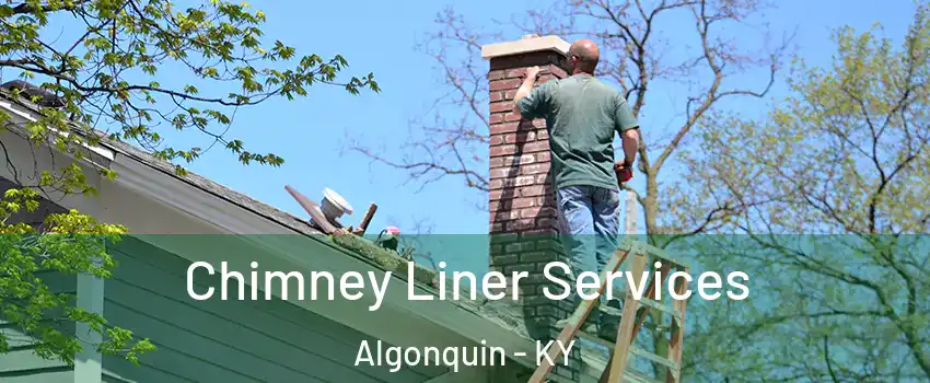 Chimney Liner Services Algonquin - KY