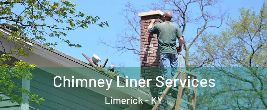 Chimney Liner Services Limerick - KY