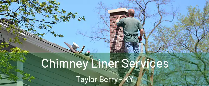 Chimney Liner Services Taylor Berry - KY