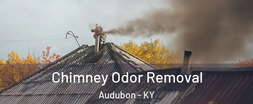 Chimney Odor Removal Audubon - KY