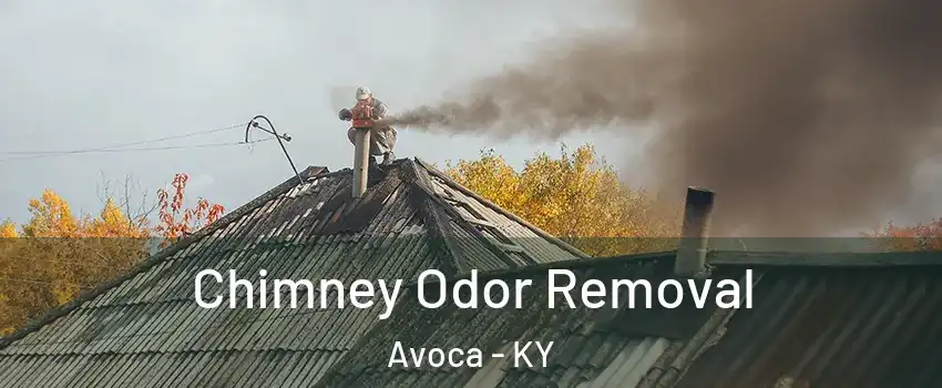 Chimney Odor Removal Avoca - KY