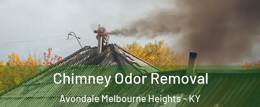 Chimney Odor Removal Avondale Melbourne Heights - KY