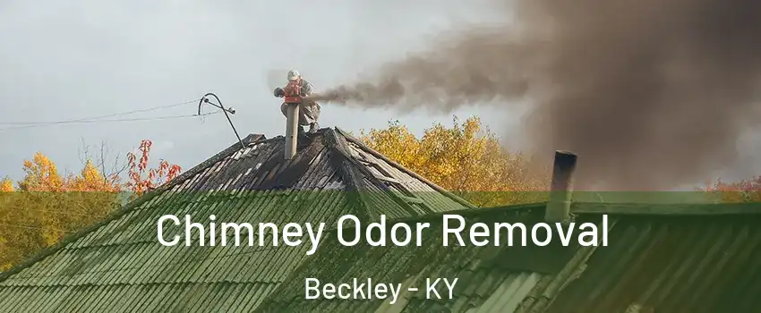 Chimney Odor Removal Beckley - KY