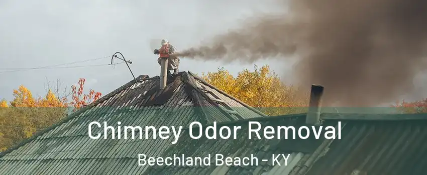 Chimney Odor Removal Beechland Beach - KY