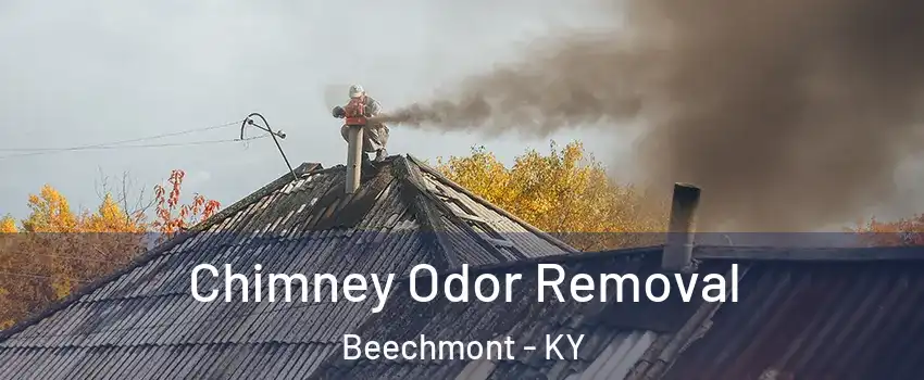 Chimney Odor Removal Beechmont - KY