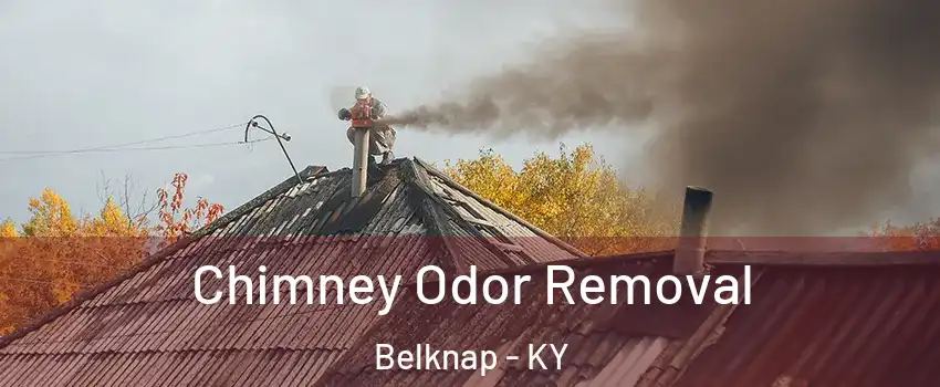 Chimney Odor Removal Belknap - KY