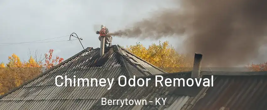 Chimney Odor Removal Berrytown - KY