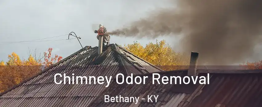 Chimney Odor Removal Bethany - KY