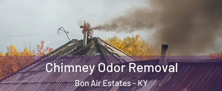 Chimney Odor Removal Bon Air Estates - KY