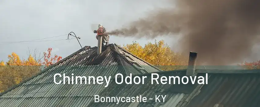 Chimney Odor Removal Bonnycastle - KY