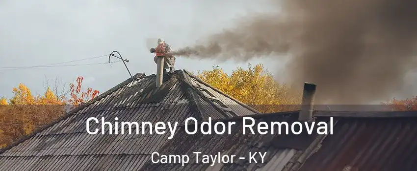 Chimney Odor Removal Camp Taylor - KY