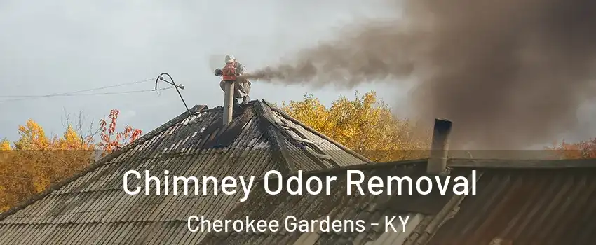 Chimney Odor Removal Cherokee Gardens - KY