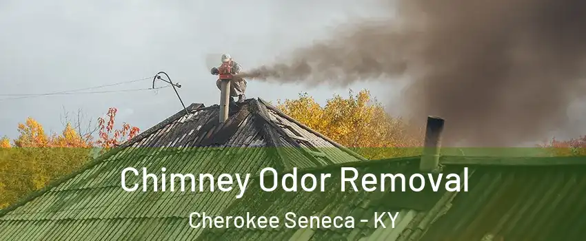 Chimney Odor Removal Cherokee Seneca - KY